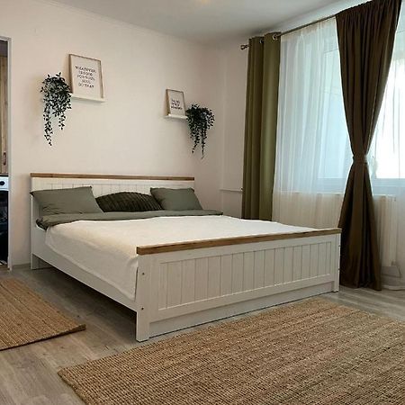 Carol Apartament'S Тімішоара Екстер'єр фото
