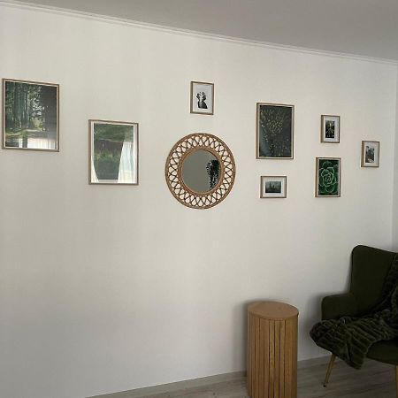 Carol Apartament'S Тімішоара Екстер'єр фото