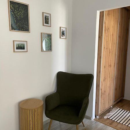 Carol Apartament'S Тімішоара Екстер'єр фото
