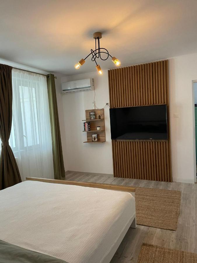 Carol Apartament'S Тімішоара Екстер'єр фото