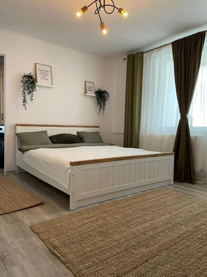 Carol Apartament'S Тімішоара Екстер'єр фото
