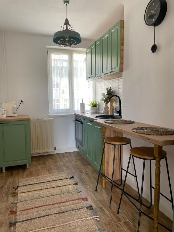 Carol Apartament'S Тімішоара Екстер'єр фото