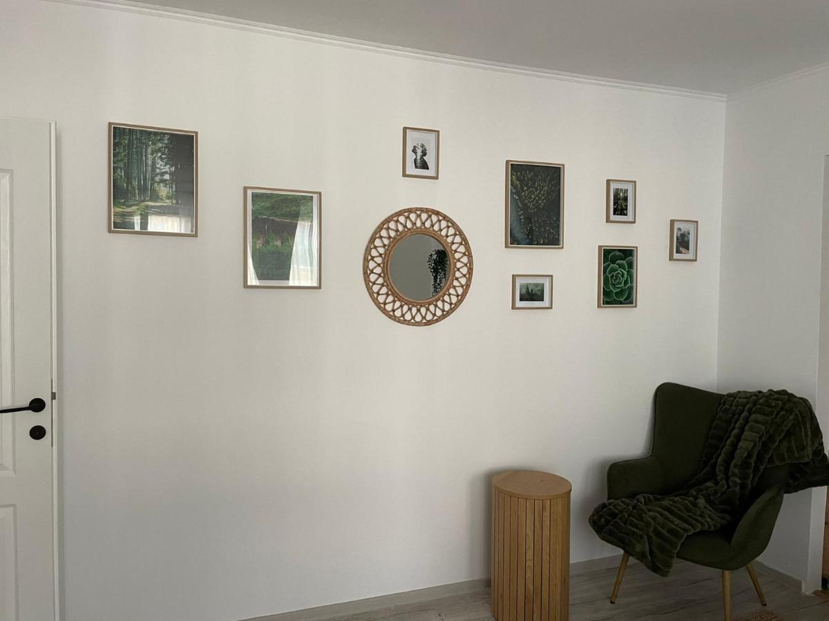 Carol Apartament'S Тімішоара Екстер'єр фото