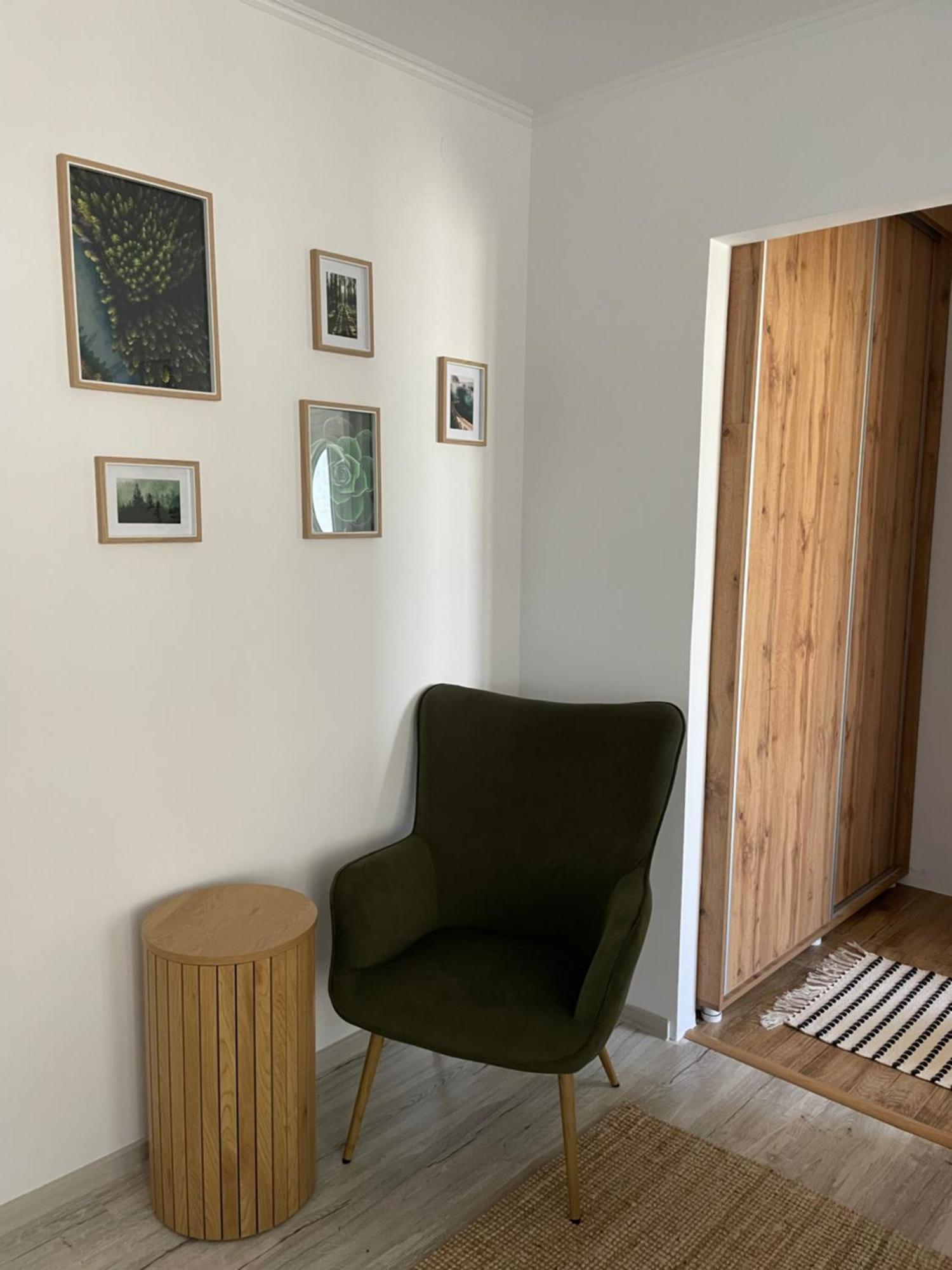 Carol Apartament'S Тімішоара Екстер'єр фото